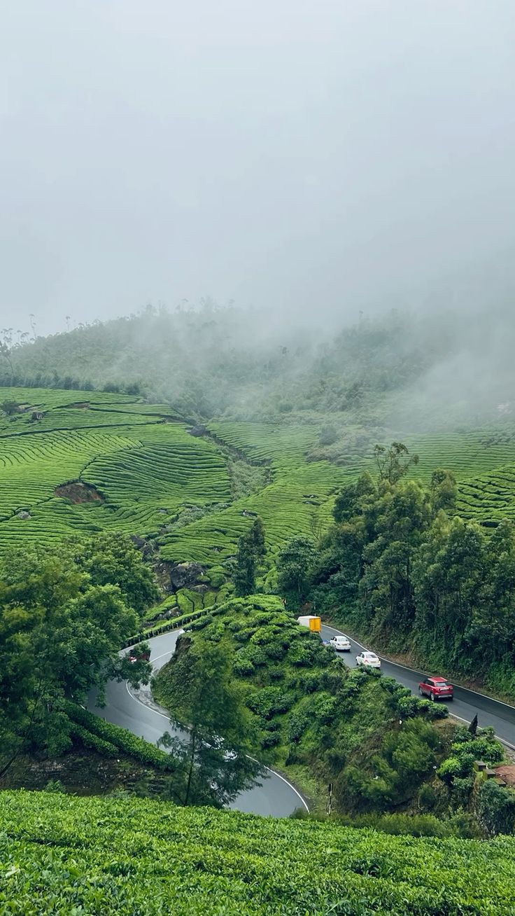 Koraput: The Hill Behind Dream Hill