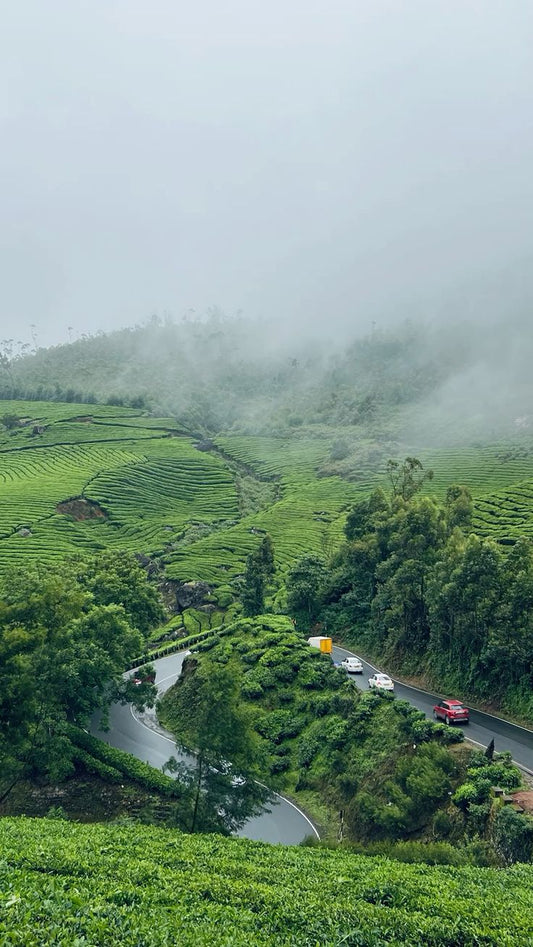 Koraput: The Hill Behind Dream Hill